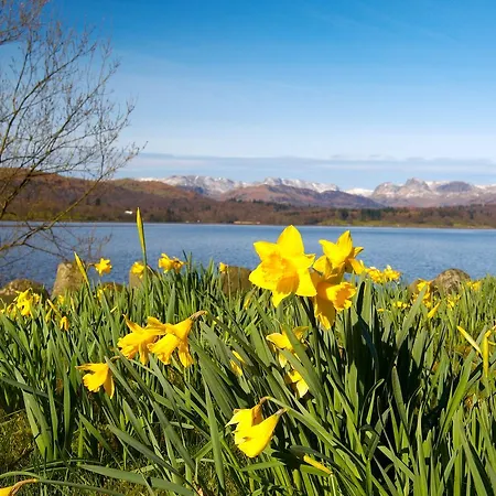 Ivythwaite 4* Windermere