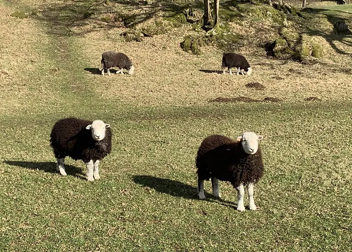 بيت ضيافة Ivythwaite