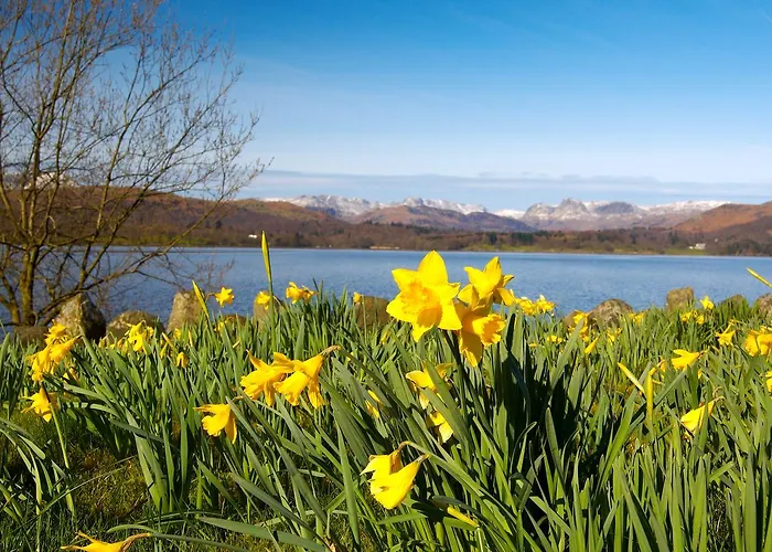 Ivythwaite 4* ويندرمير